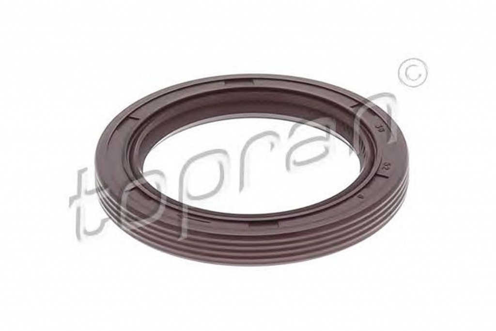 Simering Ax came FORD C-MAX DM2 TOPRAN 302170
