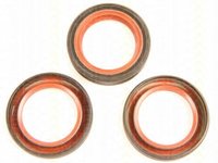 Simering, ax cu came AUDI 90 (8C, B4), AUDI 80 Avant (8C, B4), VW ATLANTIC I (16) - TRISCAN 8648 29001