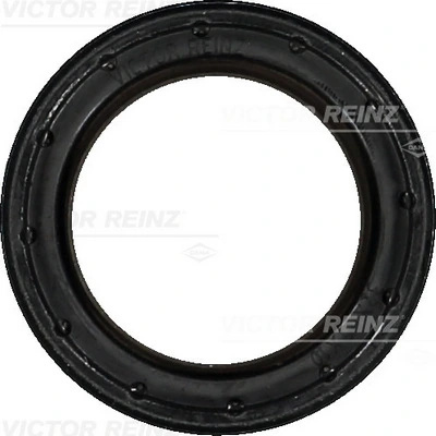 Simering ax cu came Victor Reinz 81-40538-00