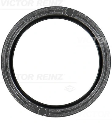Simering ax cu came Victor Reinz VOLVO V60 I (155) 2013-2018 - 81-10481-00