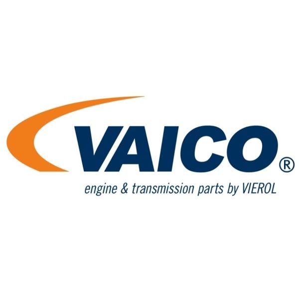 Simering diferential VW EOS 1F7 1F8 VAICO V1032731