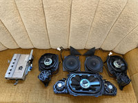 Sistem audio Harman Kardon Mercedes S W221 : Amplificator / Subwoofer