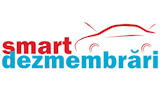 Logo SMART DEZMEMBRARI