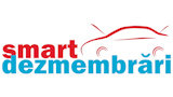 SMART DEZMEMBRARI