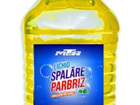 Solutie Parbriz Vara Mtr 5L 12166186