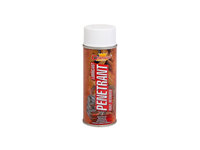 Spray Profesional CHAMPION DEGRIPANT 400ml AL-TCT-4932