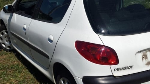 Stopuri Peugeot 206 din 2002