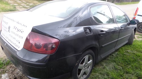 Stopuri Peugeot 407 din 2005