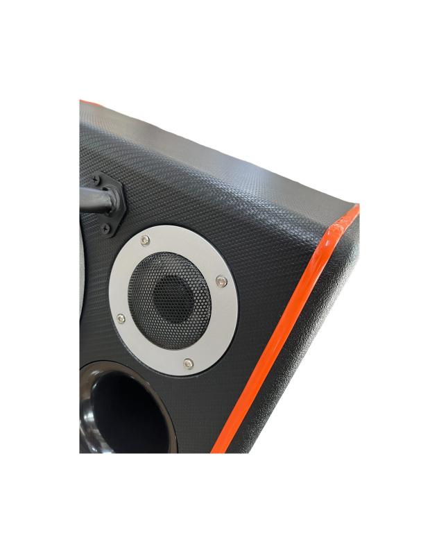 Subwoofer cu amplificator inclus 10