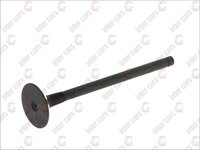 Supapa admisie OPEL ASTRA G hatchback F48 F08 Producator FRECCIA R6136/RNT