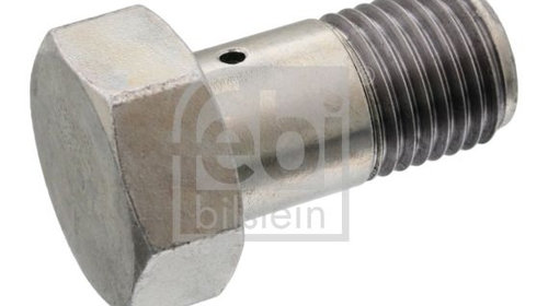 Supapa de supraplin 102008 FEBI BILSTEIN pent