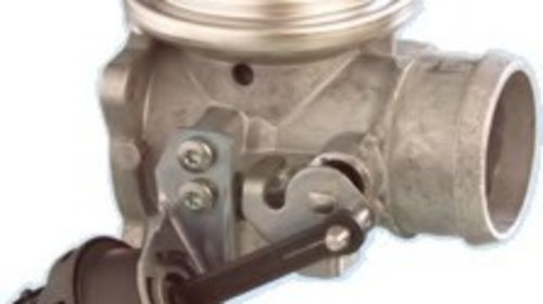 Supapa egr 88052 MEAT DORIA pentru Vw Bora 19