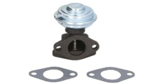 Supapa EGR AUDI A4 B5, A4 B6, A4 B7, A6 C5, A8 D2,