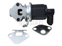 Supapa egr BSP23093 BUGIAD pentru Seat Toledo 2000 2001 2002