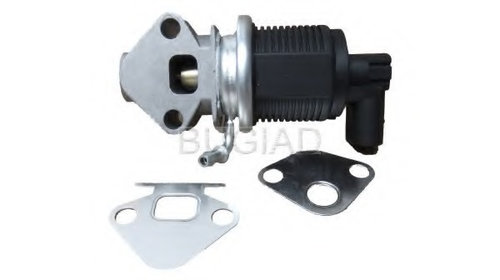 Supapa egr BSP23093 BUGIAD pentru Skoda Fabia