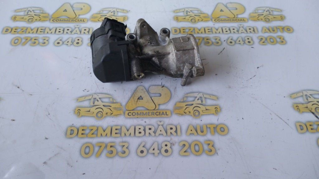 Supapa EGR Citroen Jumpy II MPV (VF7) 2.
