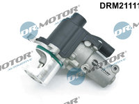 Supapa EGR (DRM211119 DRM) AUDI,VW