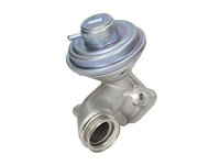 Supapa EGR PEUGEOT 206 2001-2009 VALEO 700407