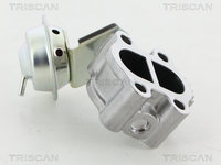 Supapa EGR spate (881313060 TRI) LEXUS,TOYOTA