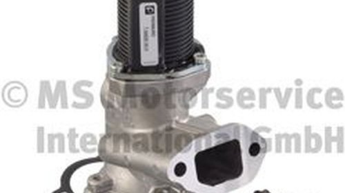 Supapa EGR SUZUKI SPLASH PIERBURG 700020500