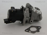 Supapa EGR TRISCAN 8813 10010