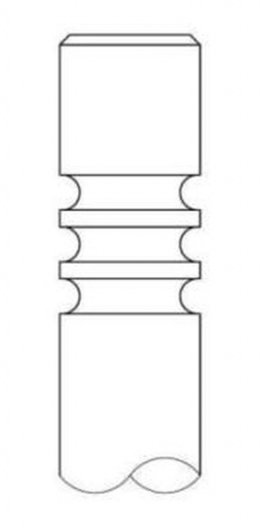 Supapa evacuare AUDI A4 Cabriolet 8H7 B6 8HE B7 INTERVALVES 3465039