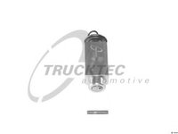 Supapa expansiune AC (aer conditionat) RENAULT 19   (B/C53_) (1988 - 1994) TRUCKTEC AUTOMOTIVE 01.59.008