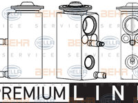 Supapa expansiune, clima (8UW351234581 HELLA) FORD,FORD AUSTRALIA