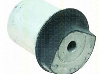 Suport, ax OPEL ASTRA G Combi (F35) (1998 - 2009) TRISCAN 8500 24843 piesa NOUA