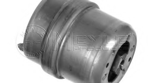 Suport motor 100 199 0074 MEYLE pentru Vw Eur