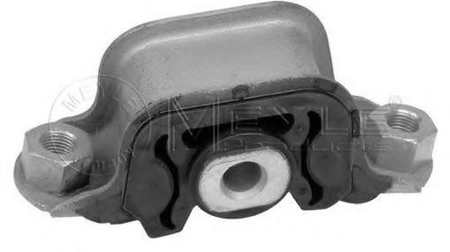 Suport motor FIAT DUCATO caroserie (230L) (19