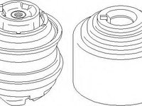 Suport motor MERCEDES-BENZ C-CLASS limuzina (W203), MERCEDES-BENZ C-CLASS Sportscoupe (CL203), MERCEDES-BENZ C-CLASS T-Model (S203) - TOPRAN 407 838