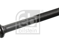 Surub chiulasa FEBI BILSTEIN 05229