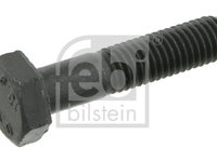 Surub clema, articulatie sarcina/ghidare puntea spate (03973 FEBI BILSTEIN) AUDI,SKODA,VW