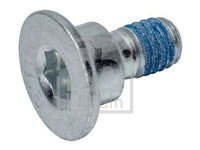 Surub, disc frana FEBI BILSTEIN 05560