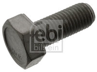 Surub, disc frana puntea spate (48760 FEBI BILSTEIN) IVECO