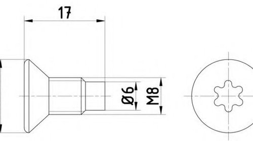 Surub, disc frana RENAULT MASTER II caroserie