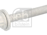 Surub fulie FEBI BILSTEIN 32025