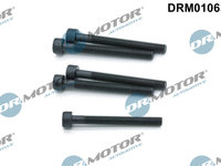 Surub, suport injector (DRM01063S DRM) VW