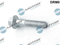 Surub, suport injector (DRM01066 DRM) FORD
