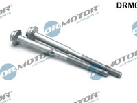 Surub, suport injector (DRM01079S DRM) AUDI,SEAT,SKODA,VW