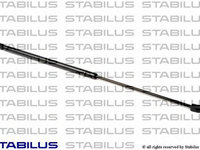 Suspensie pneumatica clapeta fata 016955 STABILUS pentru Vw Beetle Vw New Vw Novo