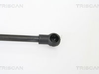 Suspensie pneumatica clapeta fata 8710 18100 TRISCAN pentru Kia Sorento