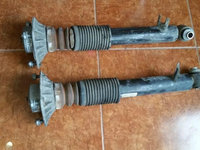 Telescoape spate Bmw X5 E70 an 2007-2013