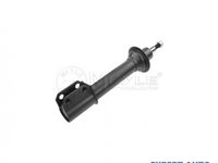 Telescop Renault MEGANE I (BA0/1_) 1995-2004 #2 129636