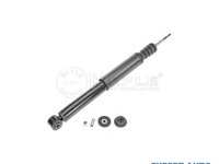 Telescop Renault MODUS / GRAND MODUS (F/JP0_) 2004-2016 #2 104183