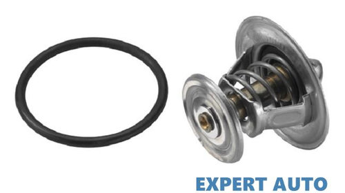 Termostat Audi 80 (1991-1994) [8C2, B4] 03G 1