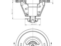 Termostat lichid racire 725125 NRF pentru Mitsubishi L