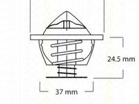 Termostat lichid racire AUDI 100 4A C4 TRISCAN 86202591