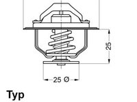 Termostat,lichid racire BorgWarner (Wahler) 4174.79D